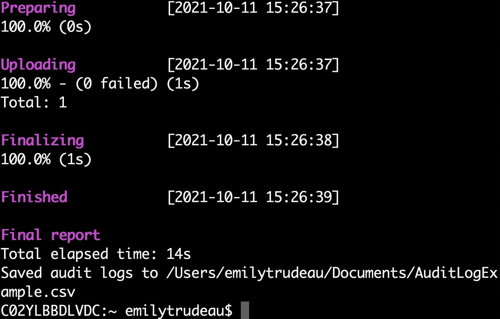 SaveAuditLogCLIExample.png