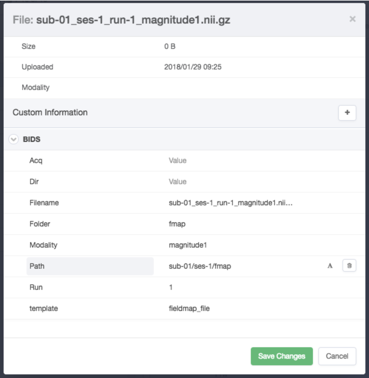 info editor