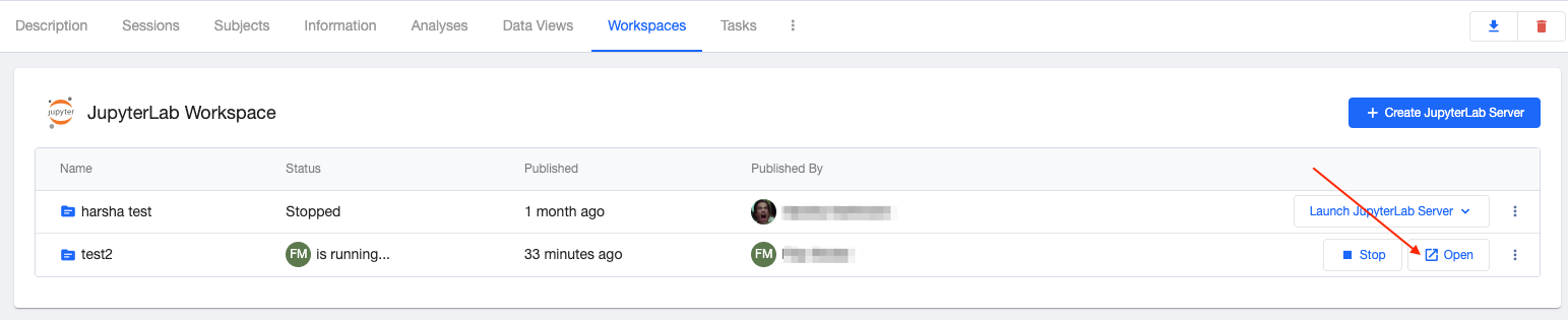 open JupyterLab