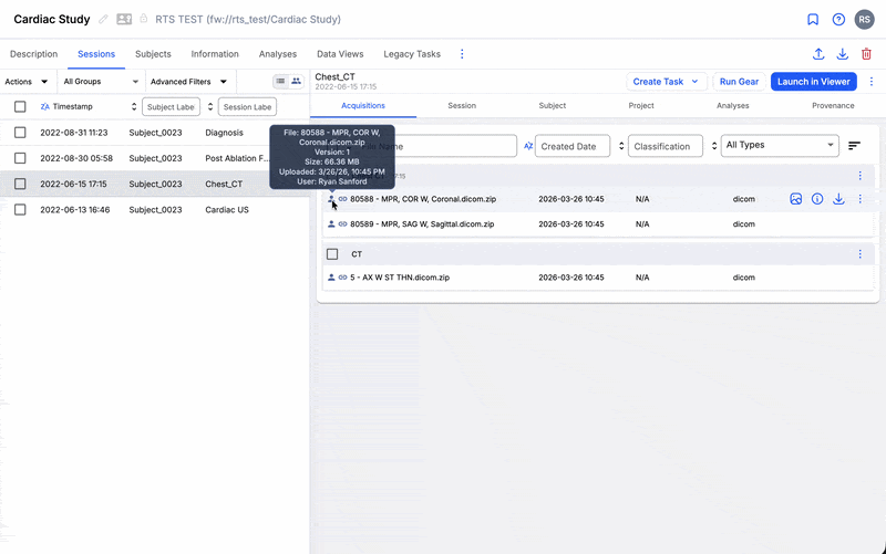 Overview of files in Flywheel