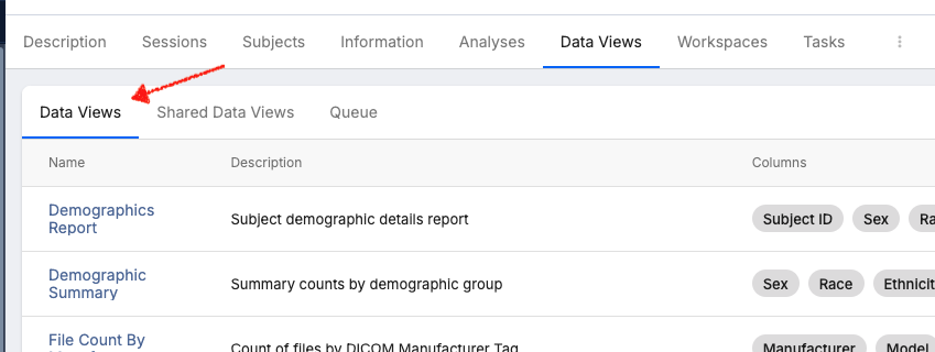 data_views_data_view_tab.png