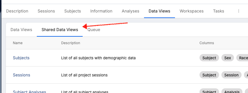data_views_shared_data_view_tab.png