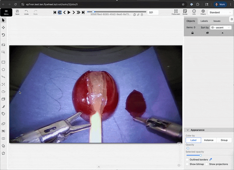 CVAT Tracking Annotation Demo