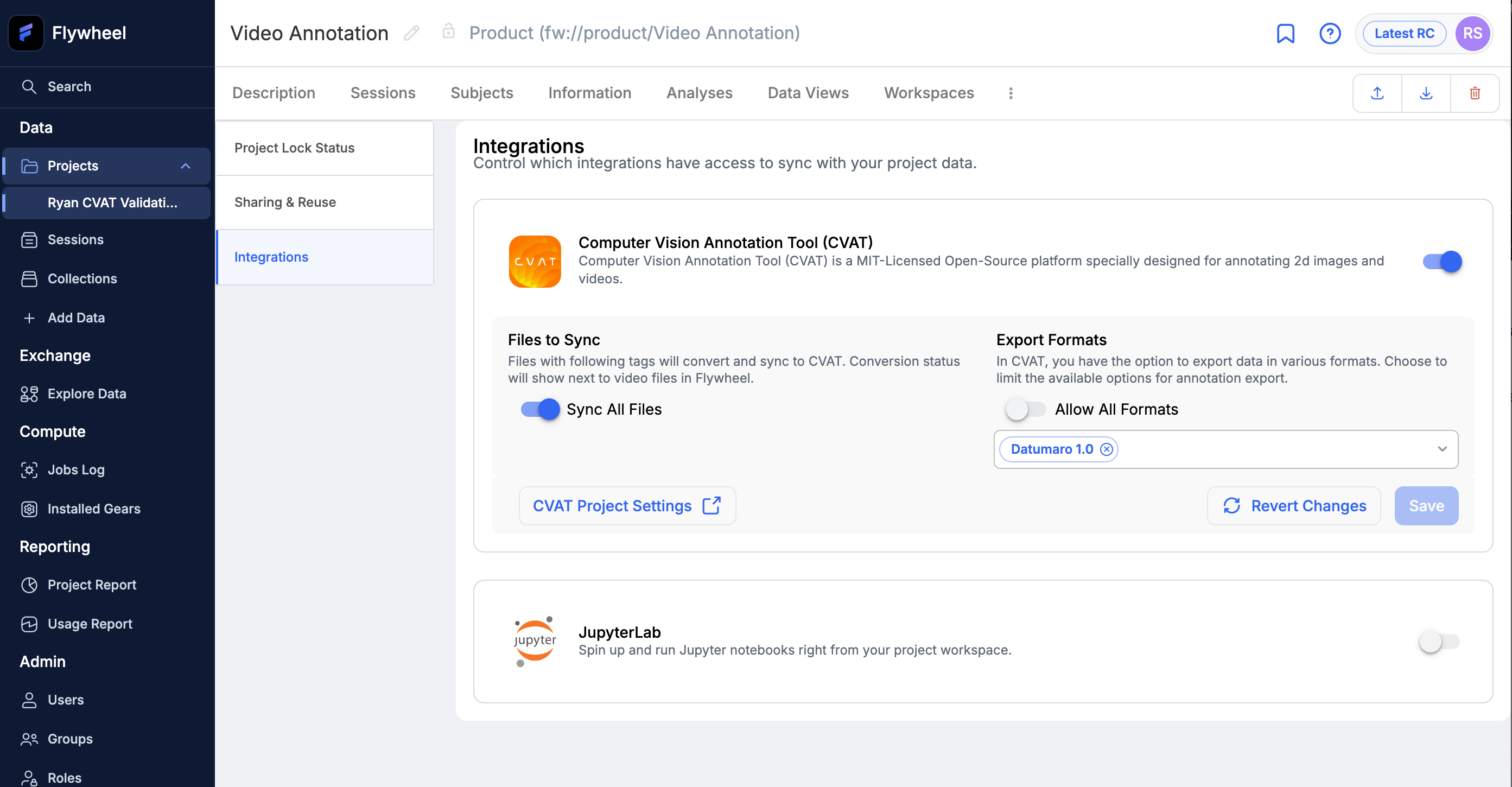 Flywheel Project Settings for CVAT